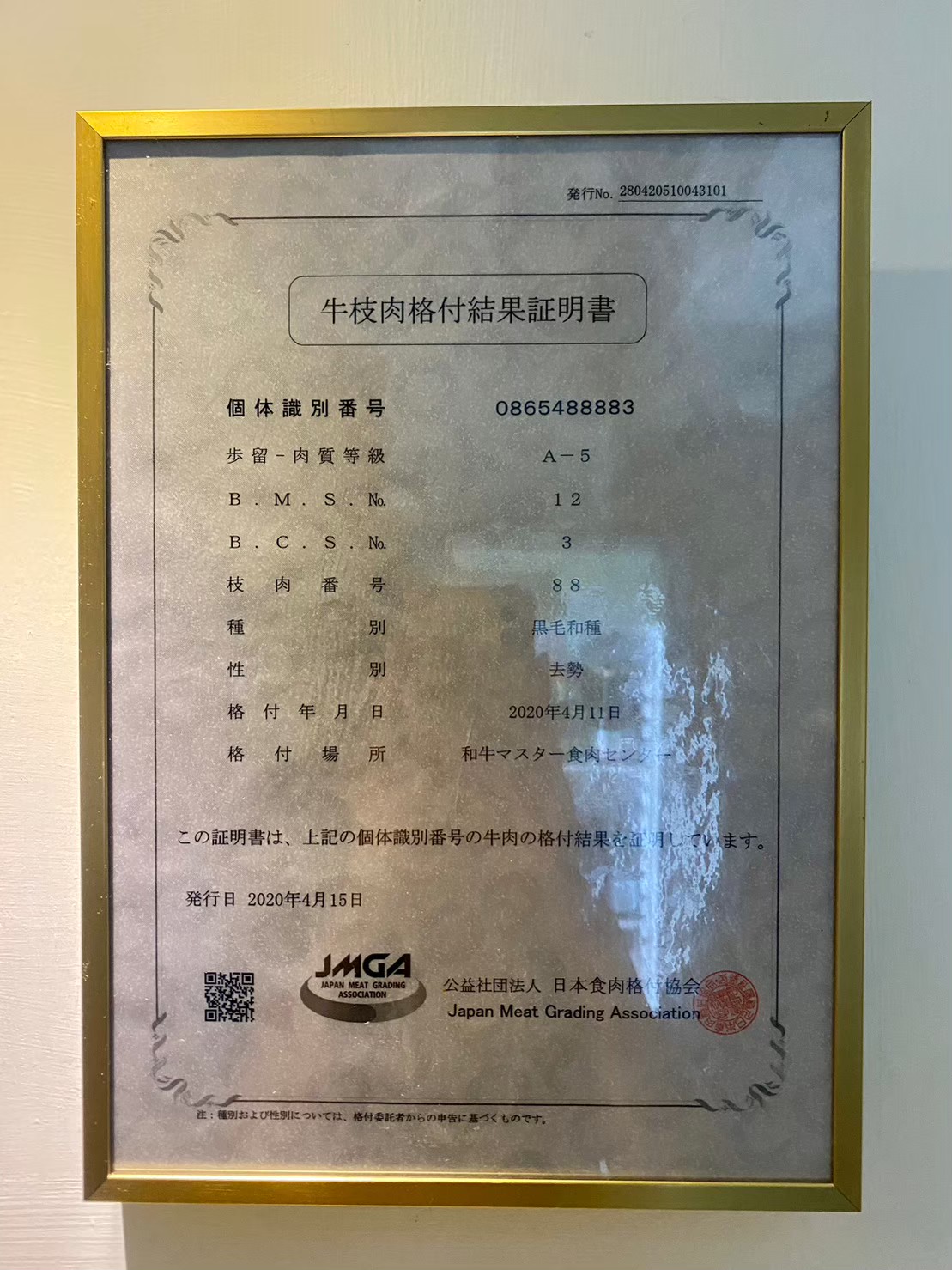 路易奇電力公司 證明書